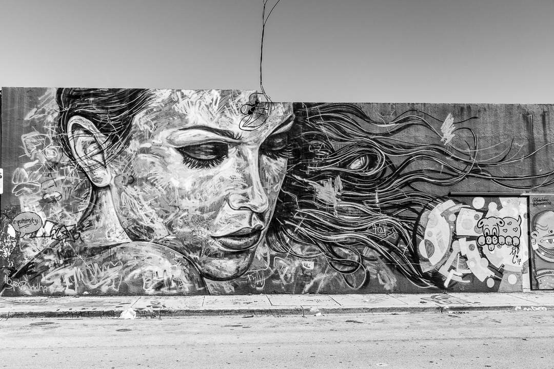 Armin Muratovic Florida Miami