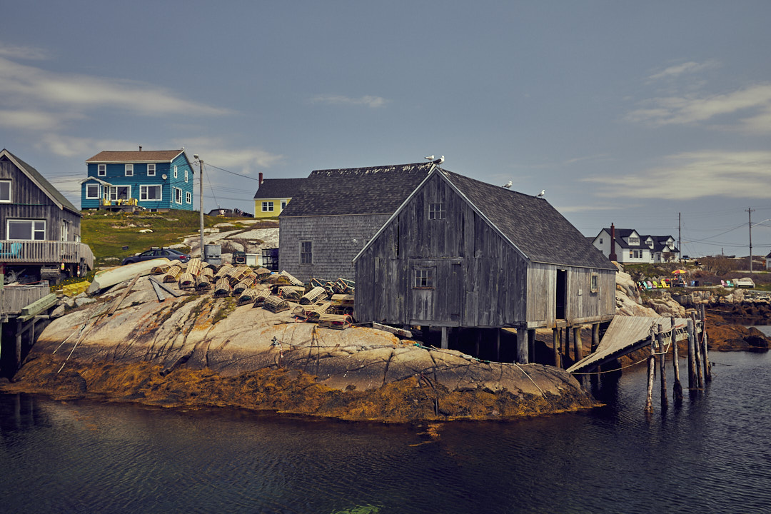 Nova Scotia by Armin Muratovic