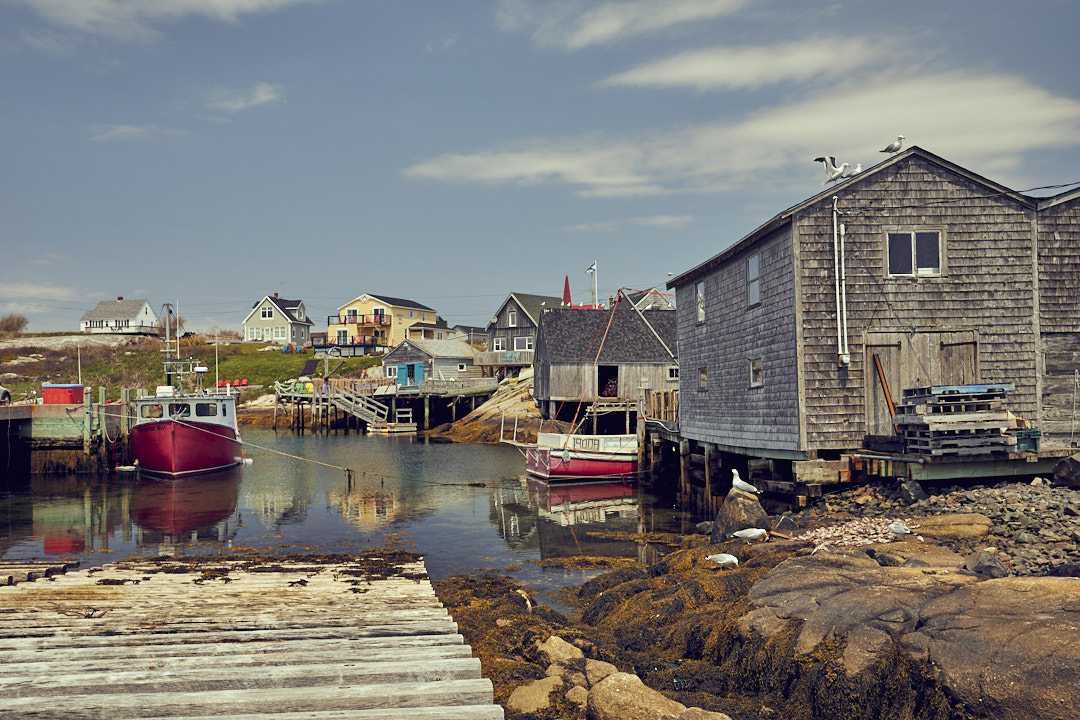 Nova Scotia by Armin Muratovic