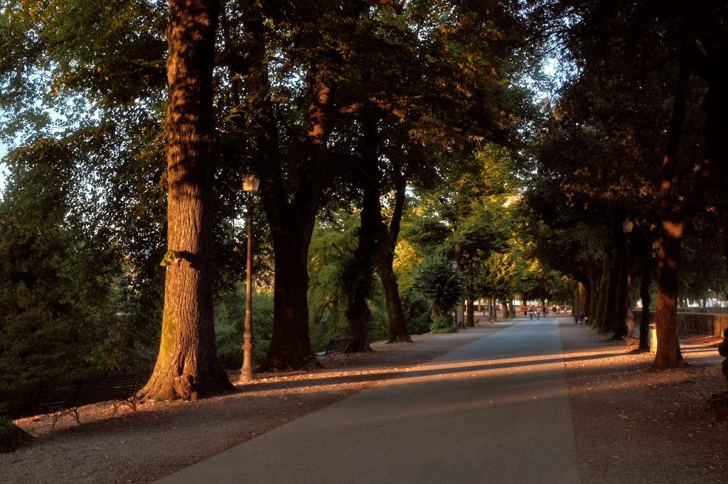 Lucca Toscana © Armin Muratovic